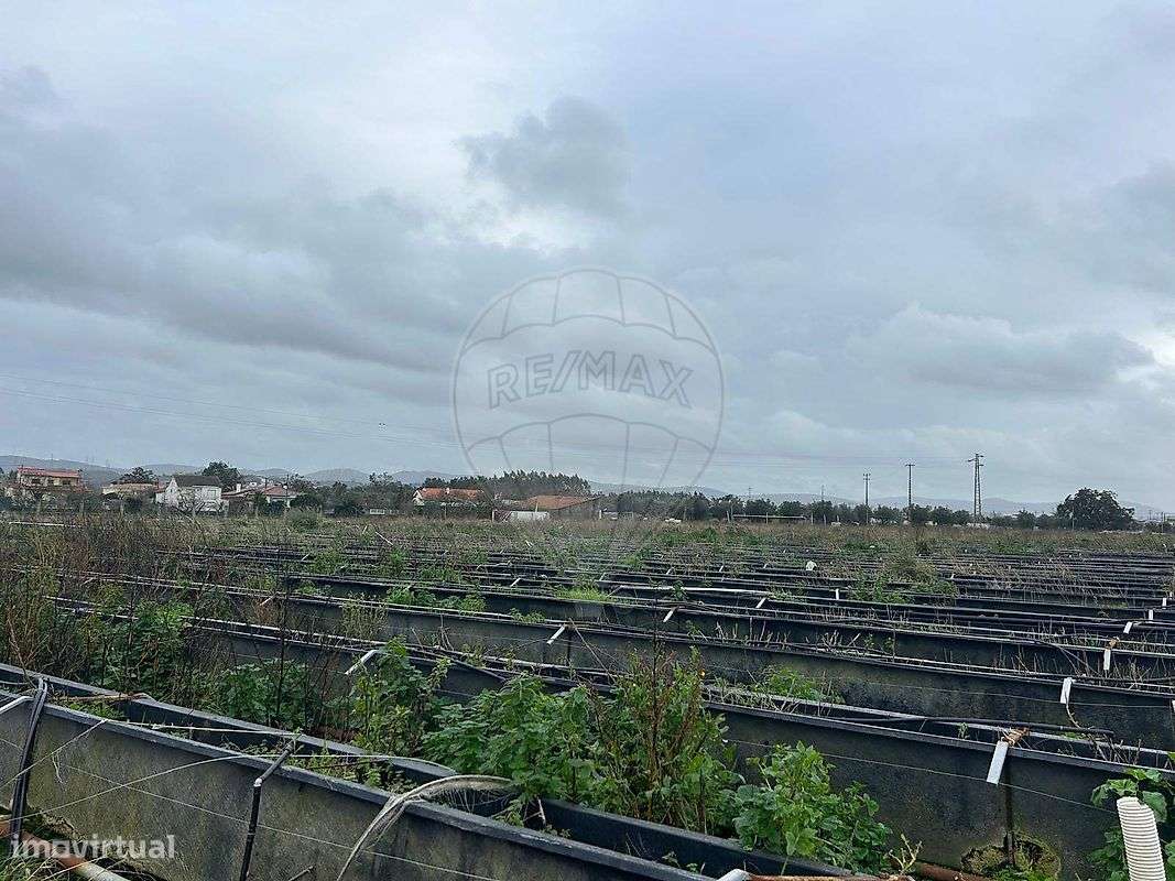 Armazém  para venda - Grande imagem: 3/5