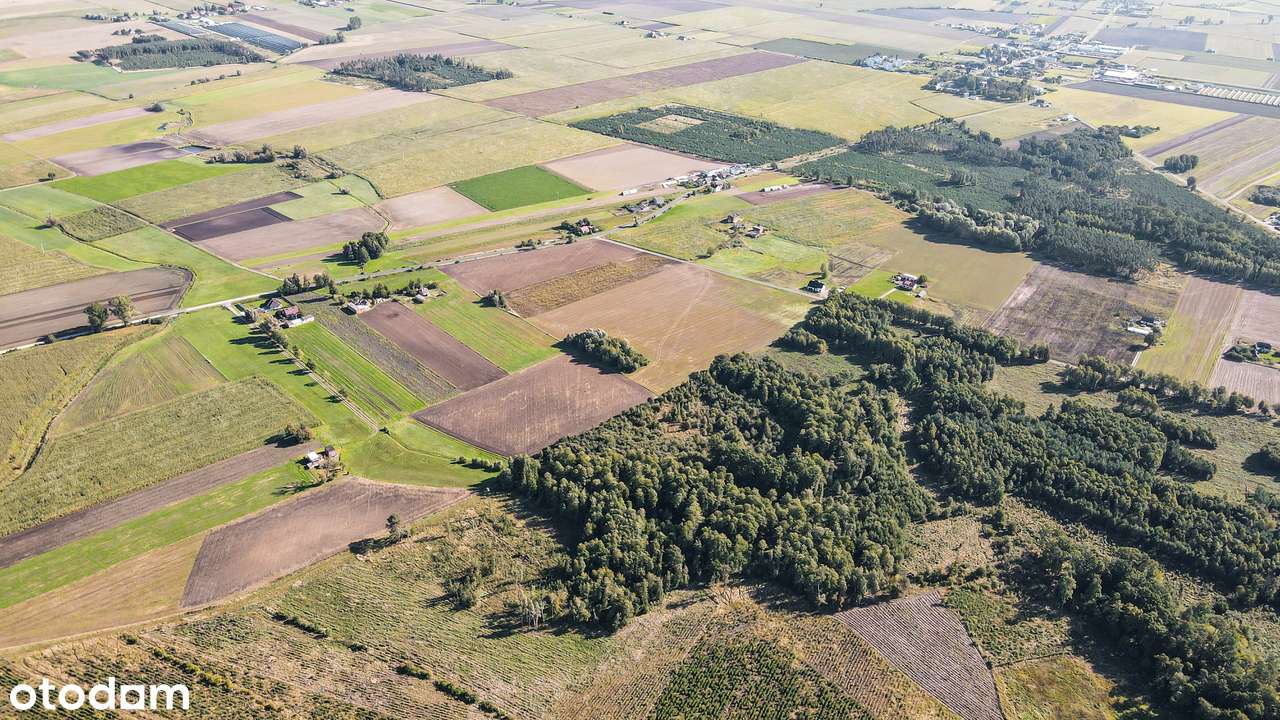 Nowy Folwark, gm. Września, pow. wrzesiński, woj. wielkopolskie-7