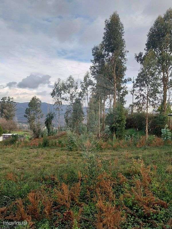 Terreno  para venda - Grande imagem: 4/10