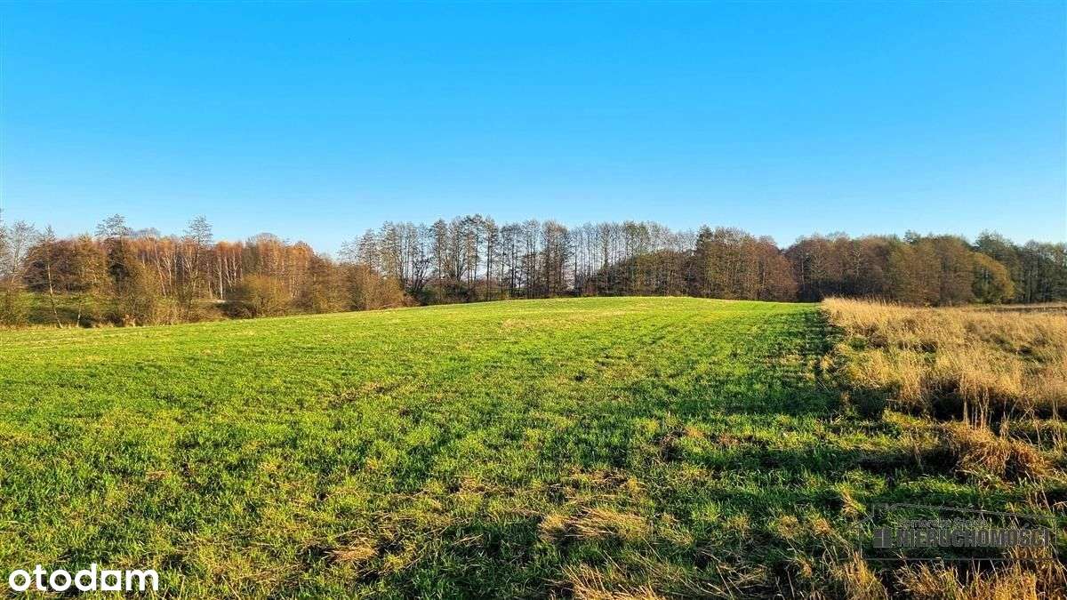 Parsęcko – działka 1,3 ha z możliwością siedliska.-1