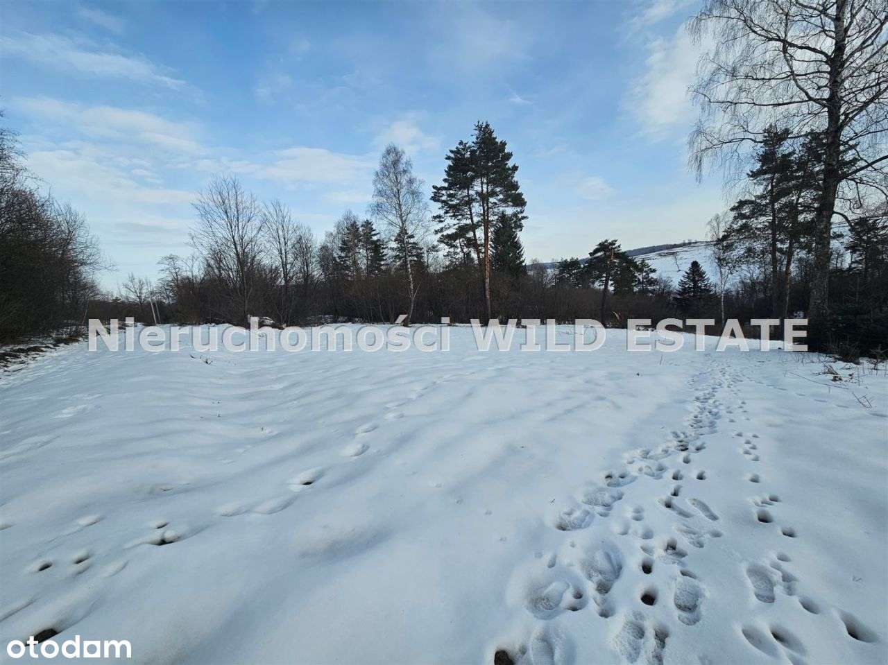 Działka, 1 026 m², Czarna Dolna-0