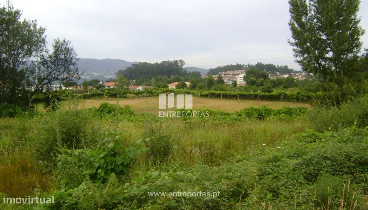 Venda Terreno, Ariz, Marco de Canaveses - Grande imagem: 2/5