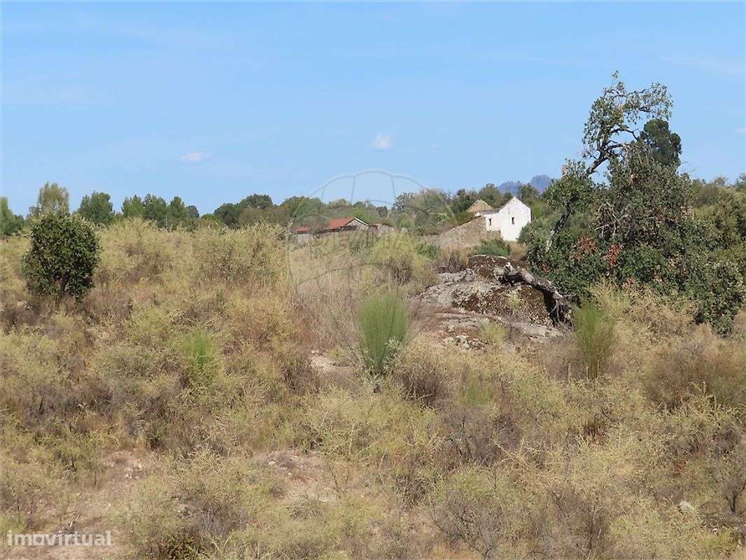 Quinta  para venda-7