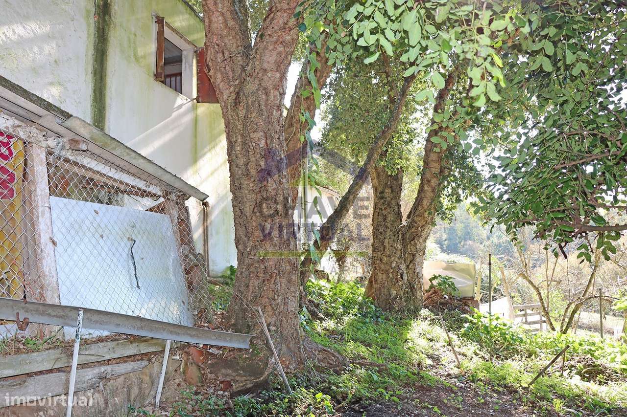 Magnífica Quinta c/ 10.490 m2 Concelho Cadaval-29