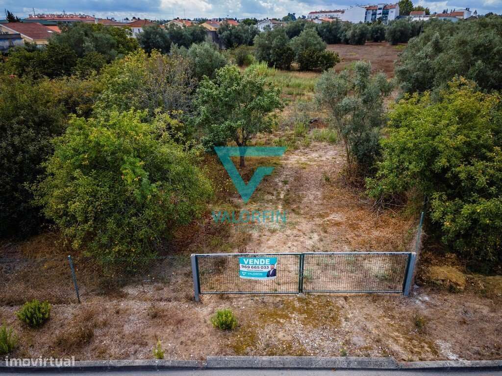 Terreno para construção em Cantanhede com 13.000 m2 - Grande imagem: 5/8