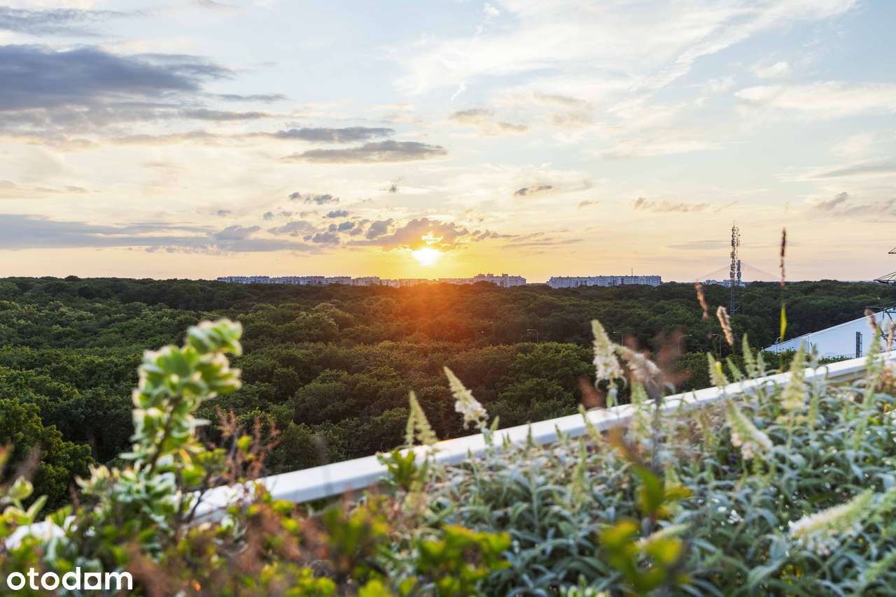 Apartament 71m2/Ogród Zimowy 24m2/Taras 100m2-5