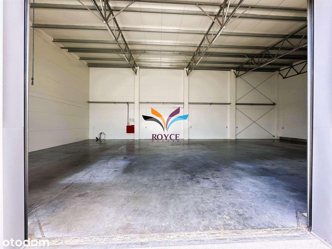 do wynajecia magazyn 250 m2 - Pełny obrazek: 5/13