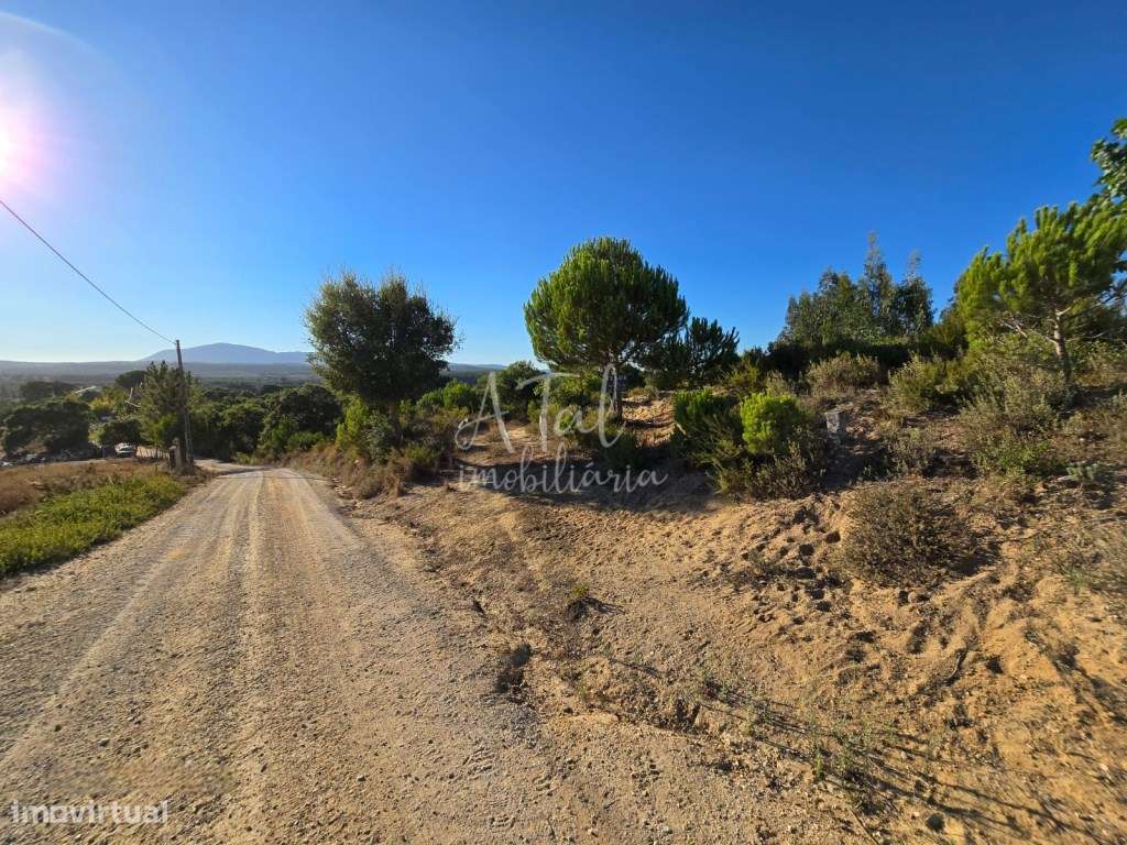 TERRENO NA OTA COM 3,23HA - Grande imagem: 5/12