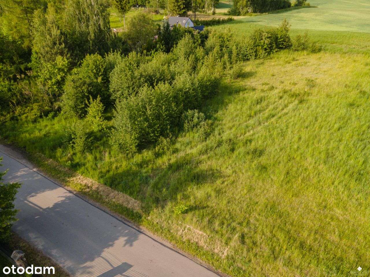Tumiany. Działka z warunkami zabudowy.-16