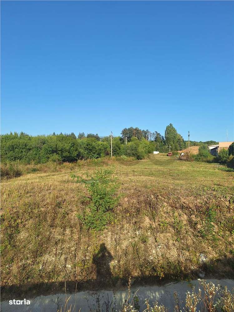 Reco, teren intravilan  Alesd - Imagine principală: 2/5