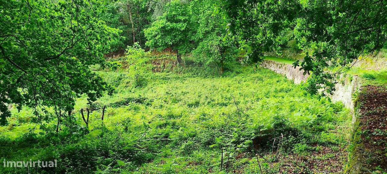 Terreno  para venda-26