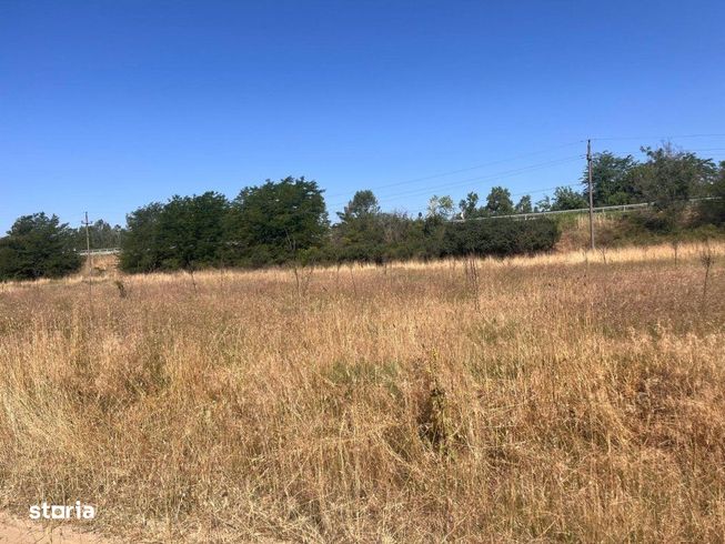Teren agricol cu potential – 24.834 mp, zona Podul Jiului-11