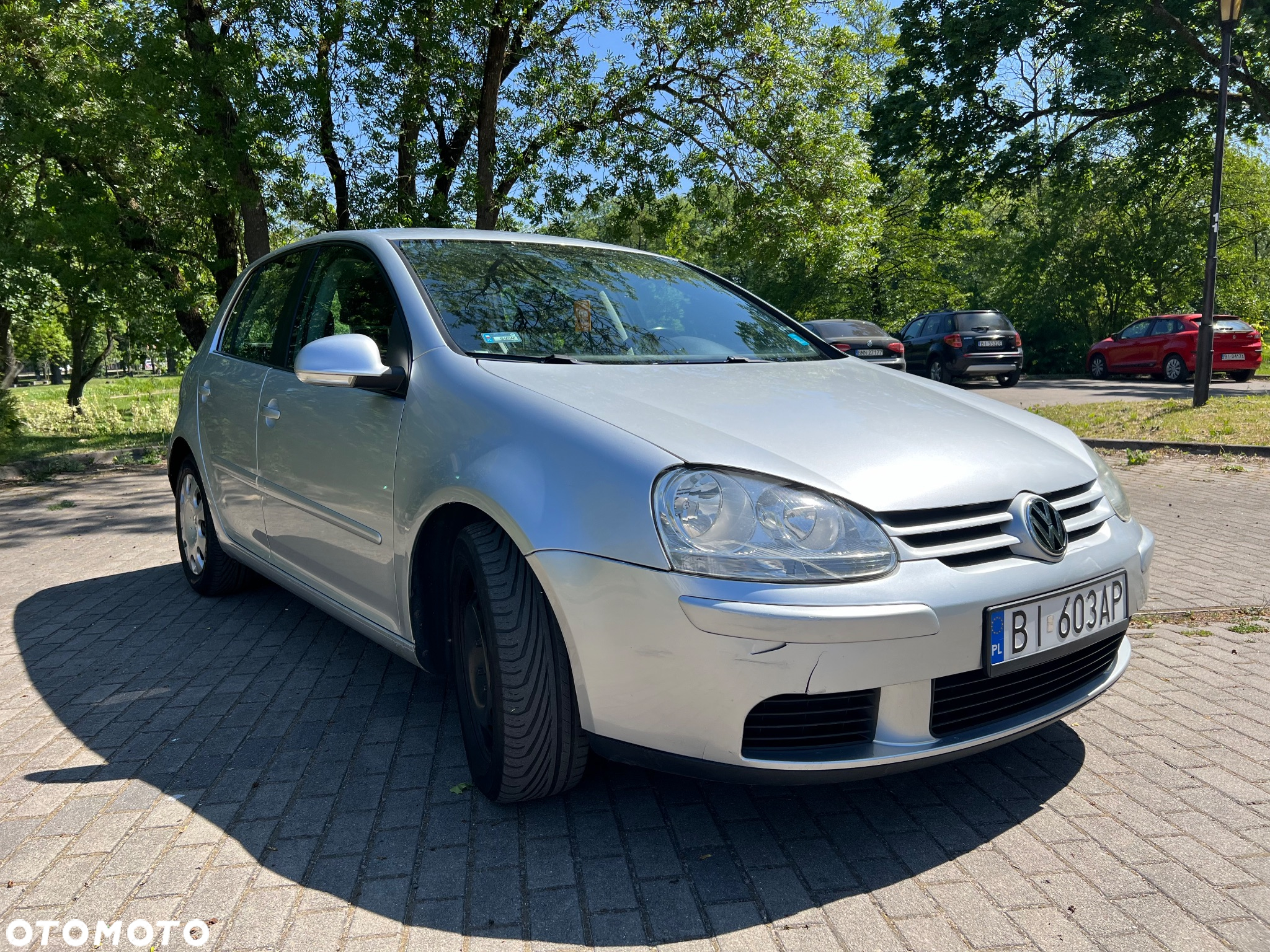 Volkswagen Golf V 1.9 TDI Comfortline - 2