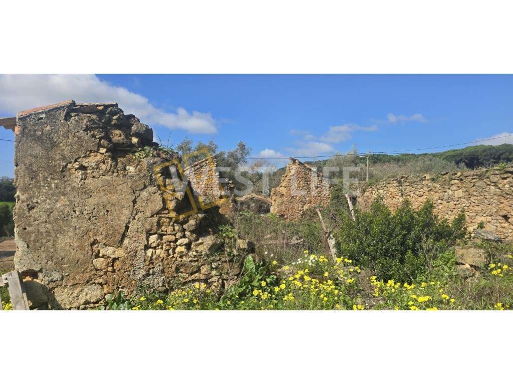 Terreno Rústico com 5215m2 - Armazém e casa e arrumos/arrecadação -... - Grande imagem: 5/15