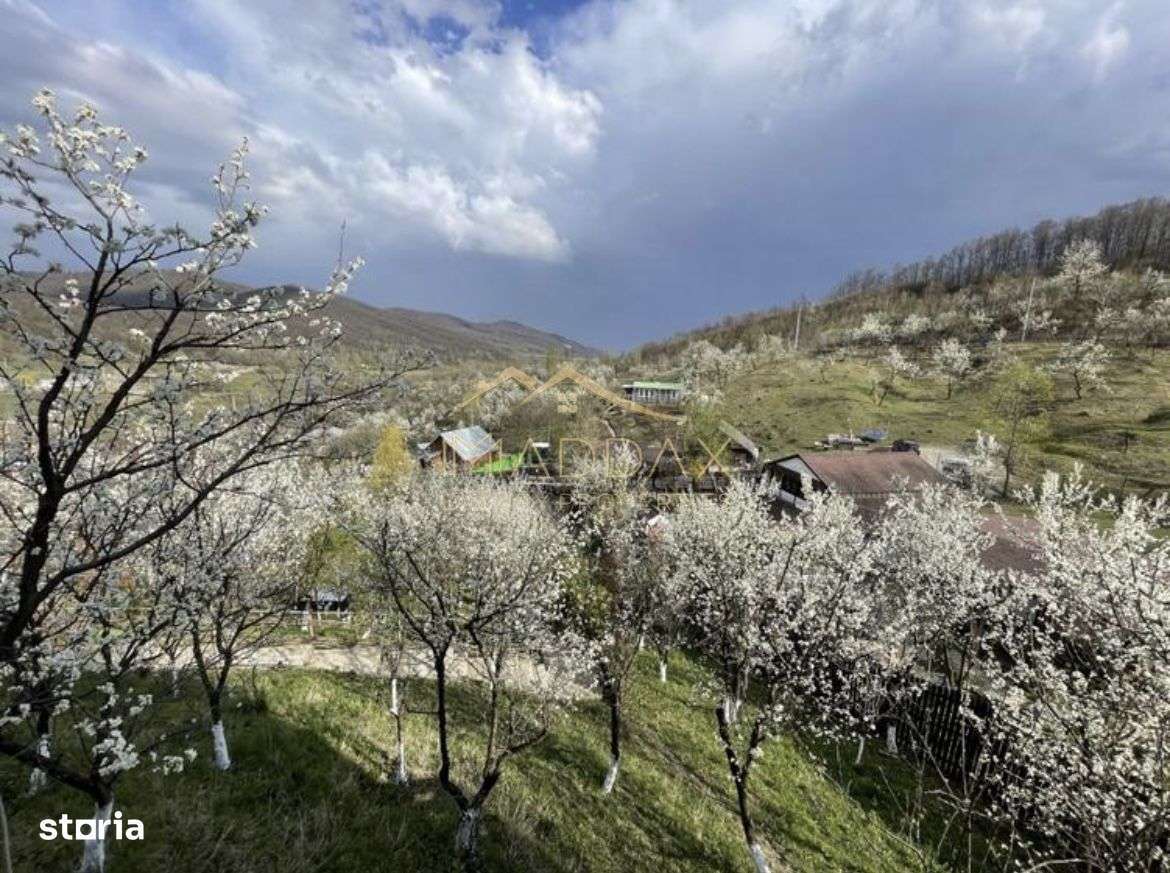 Casa de vacanta**Panorama spectaculoasa//Provita de Jos_Prahova - Imagine principală: 5/16