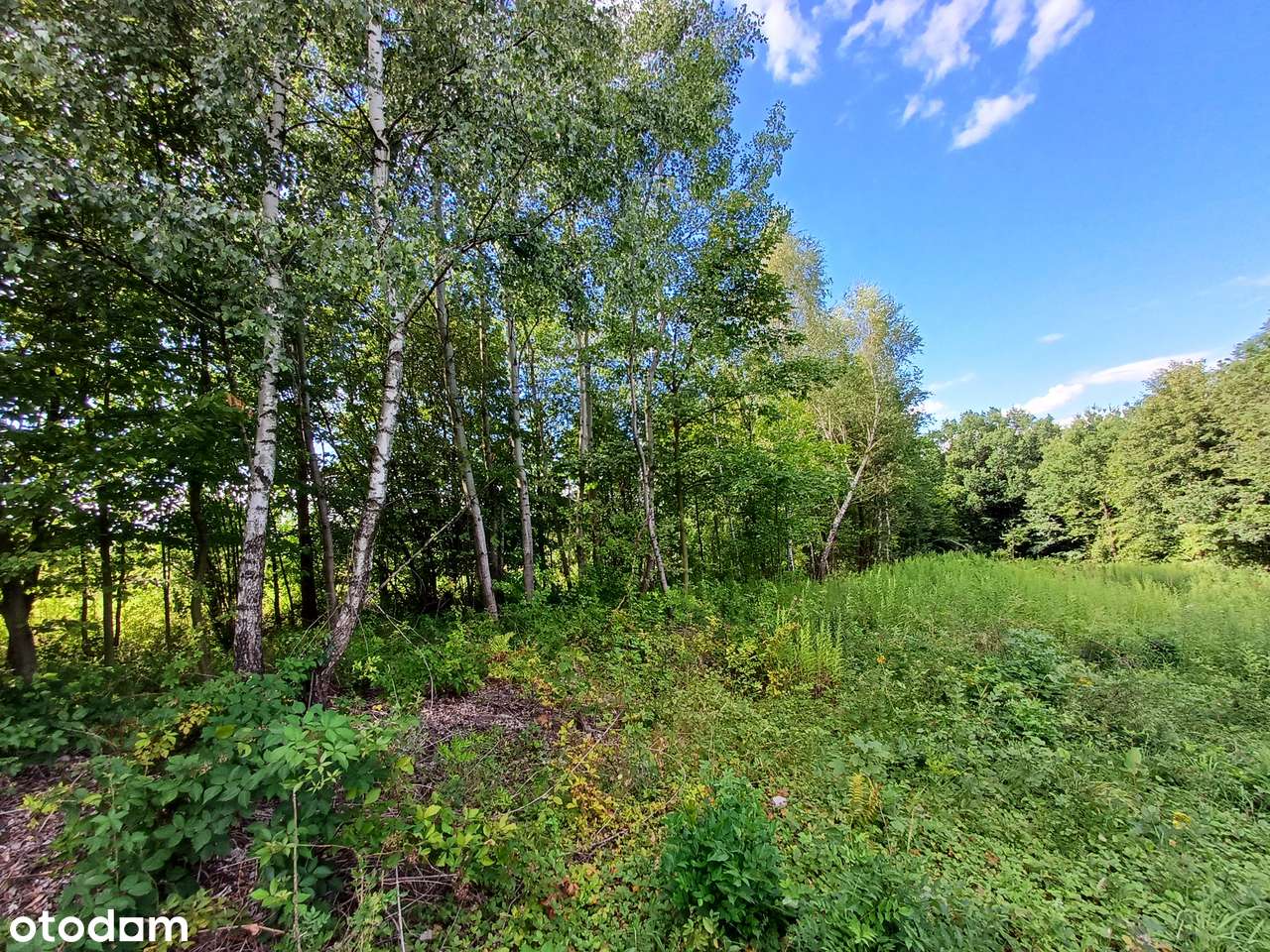 Działki na sprzedaż - Lanckorona ul. Krakowska-4