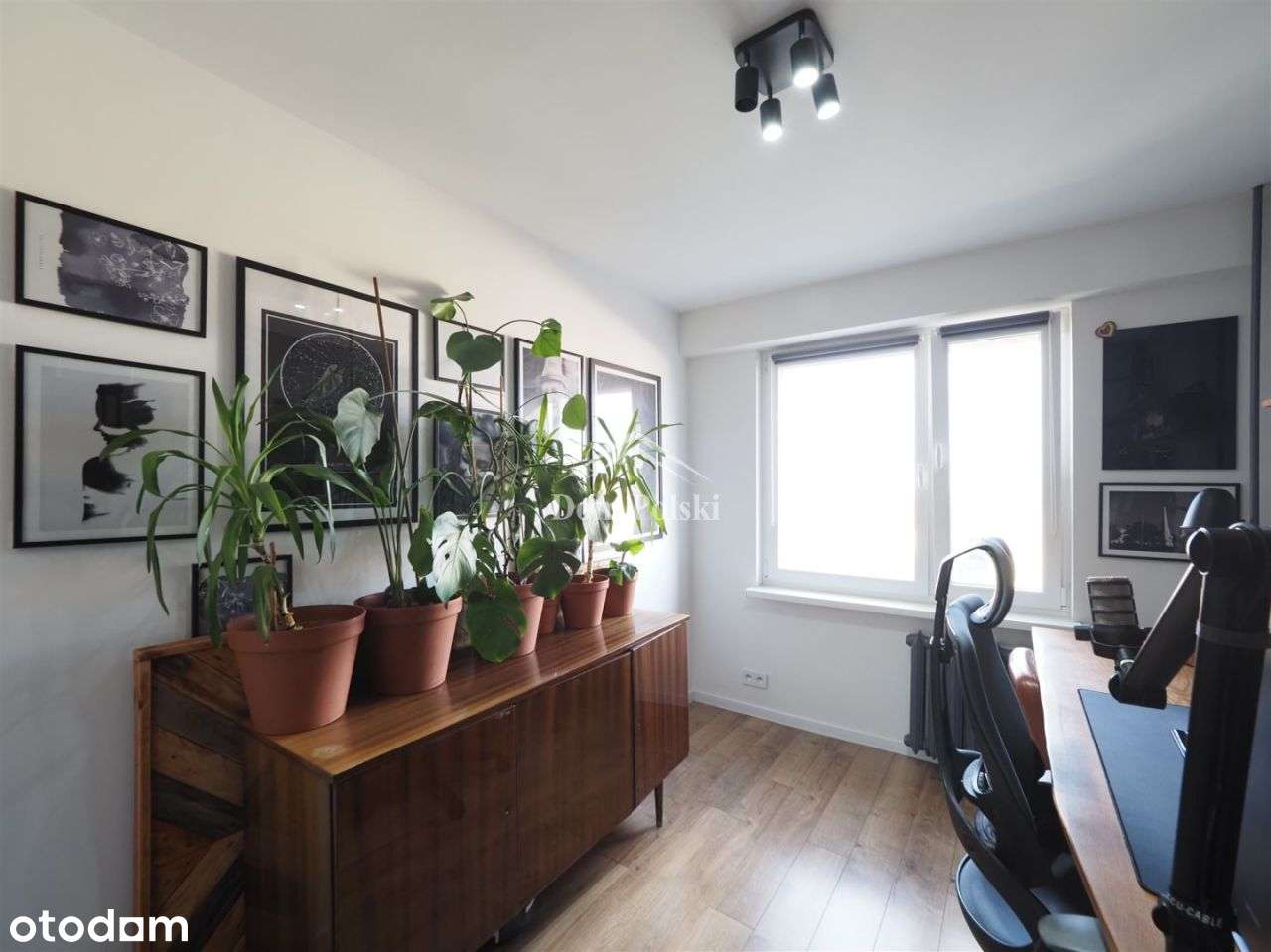 Słoneczne, wyremontowane M3 50,4m2, ul. Batorego-10