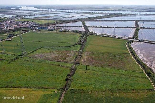 Dois terreno rusticos: Vila Nova Da Rainha, Alenquer - Lisboa - Grande imagem: 5/6
