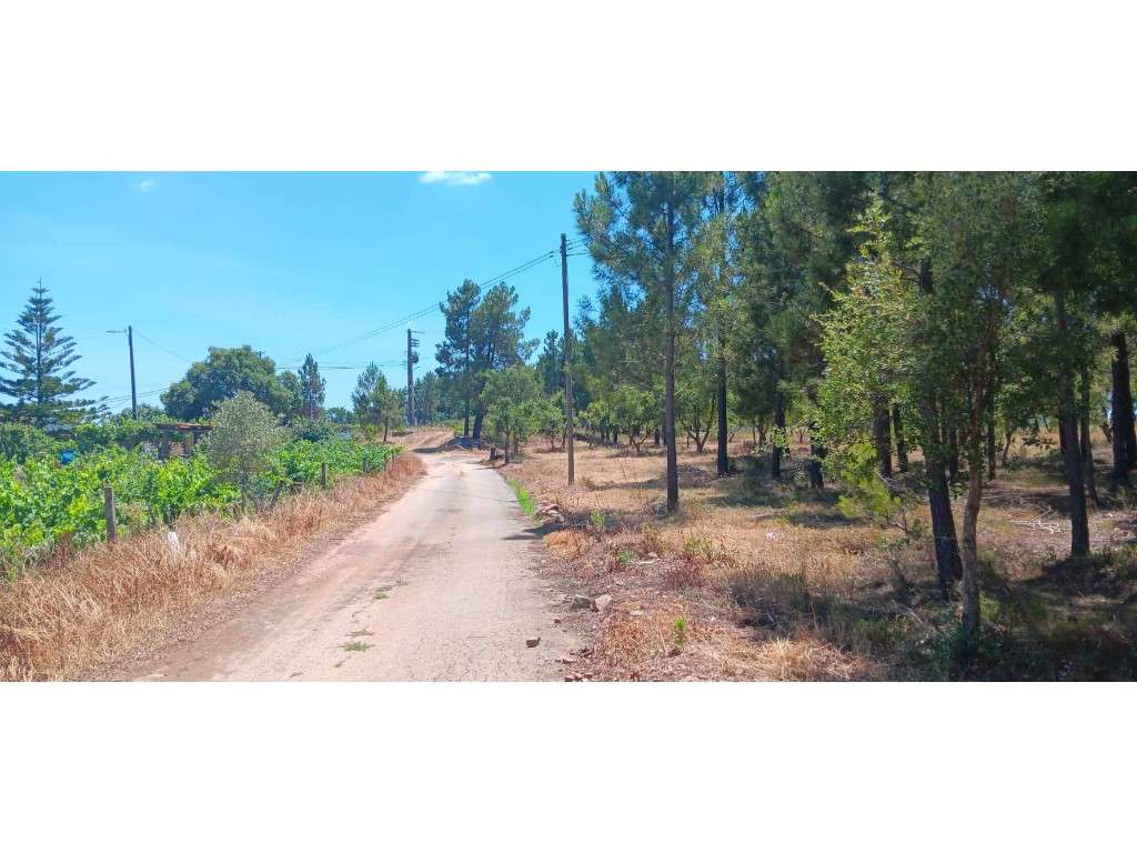 Vários Anexos para Recuperação com Terreno Venda Nova, Envendos-21