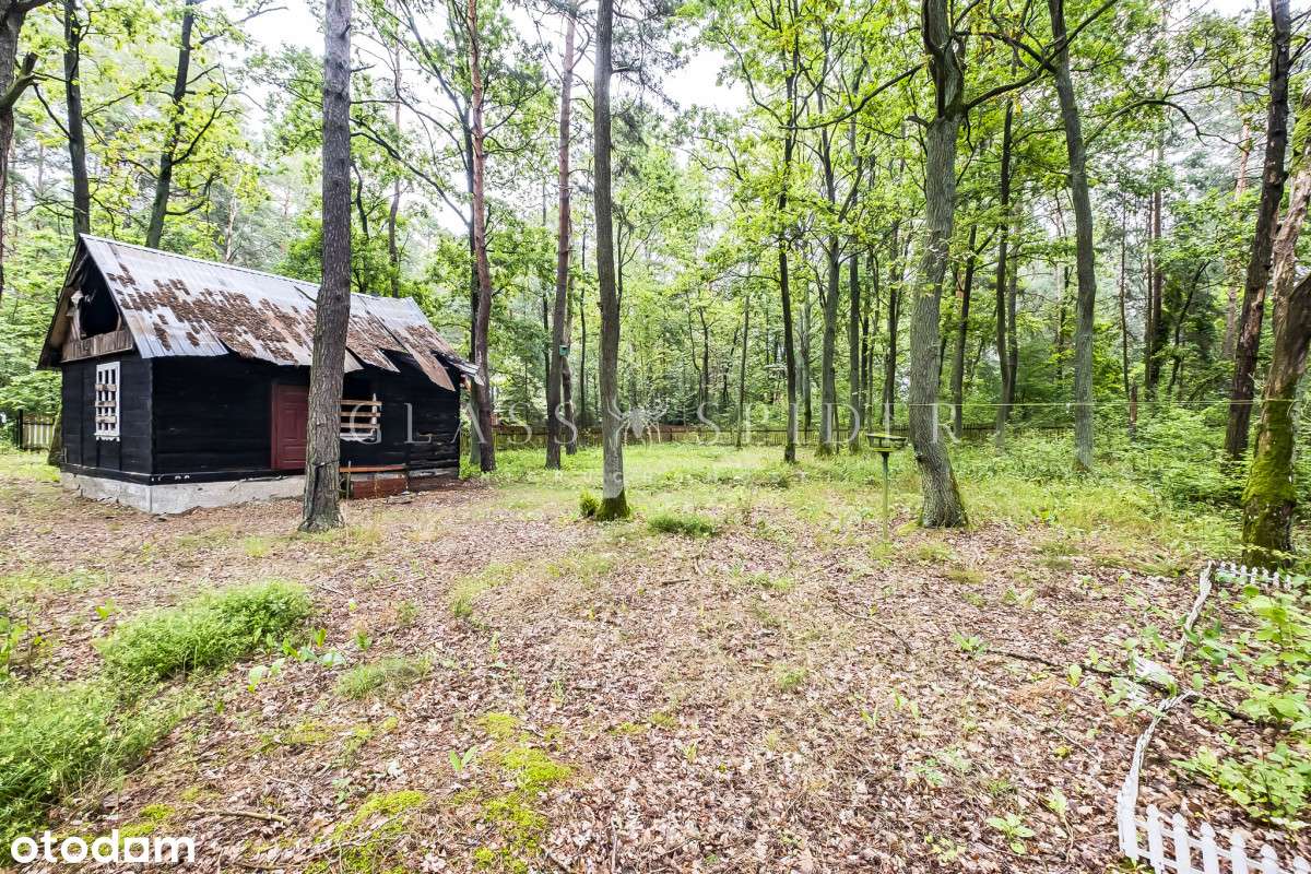 ⚡Działka rekreacyjna w lesie⚡Niedaleko Narew⚡ - Pełny obrazek: 5/18