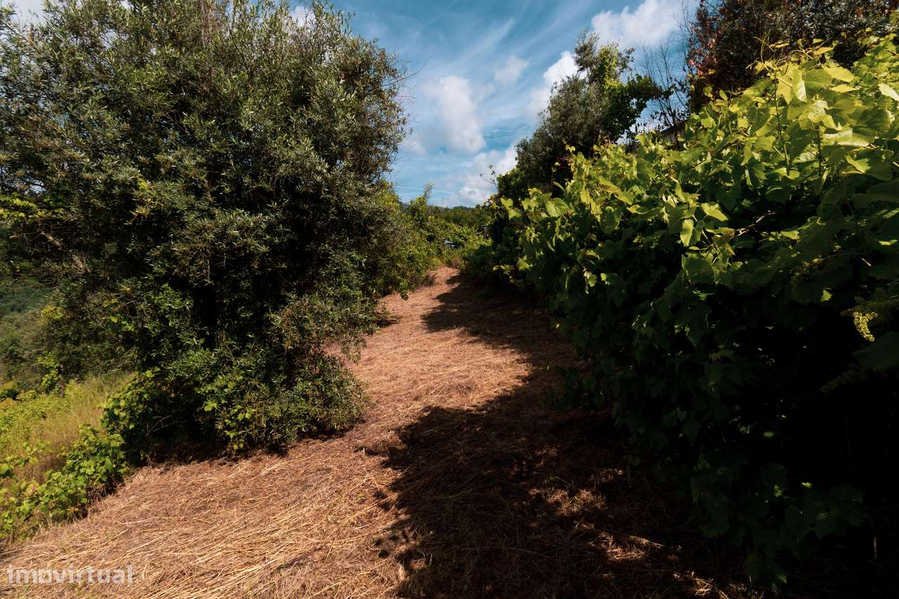 TERRENO P/ CONSTRUÇÃO COM VISTA PARA O RIO DOURO-6