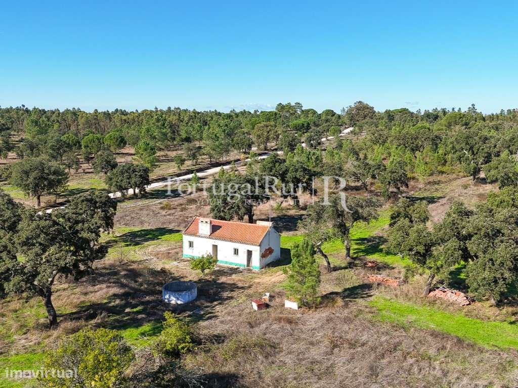 Quinta de 20ha com projeto para Turismo Rural a 1h de Lisboa-47