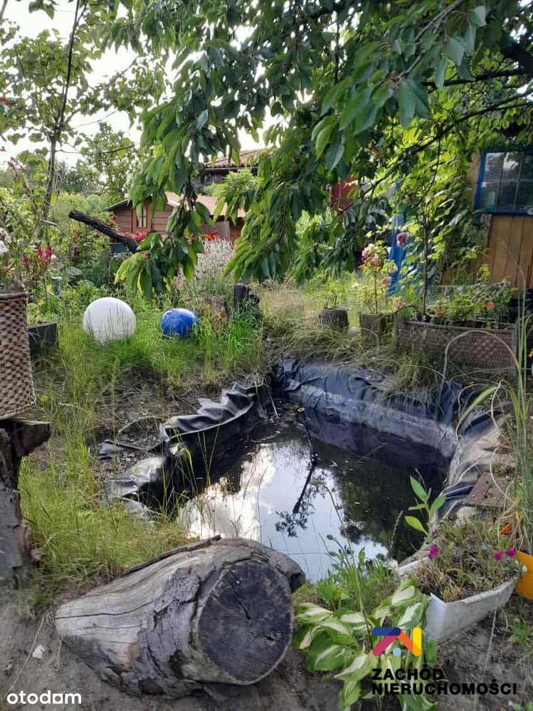 Działka ogrodowa 520 m2 okolica Os. Morelowe - Pełny obrazek: 3/16