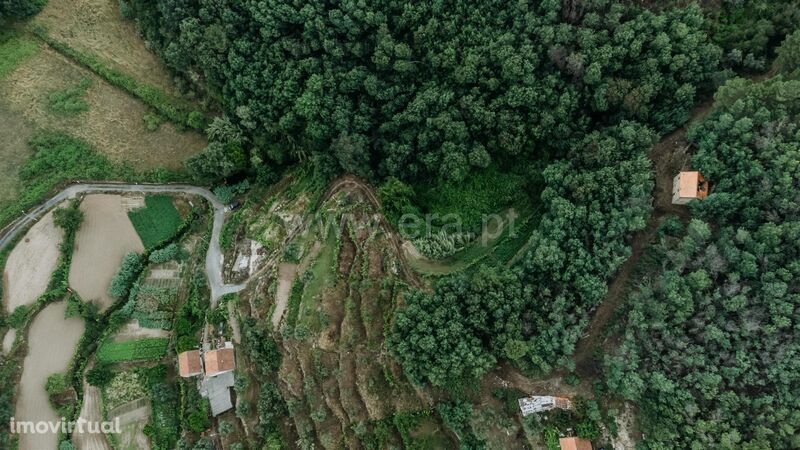 Quinta T3 / Covilhã, Canhoso