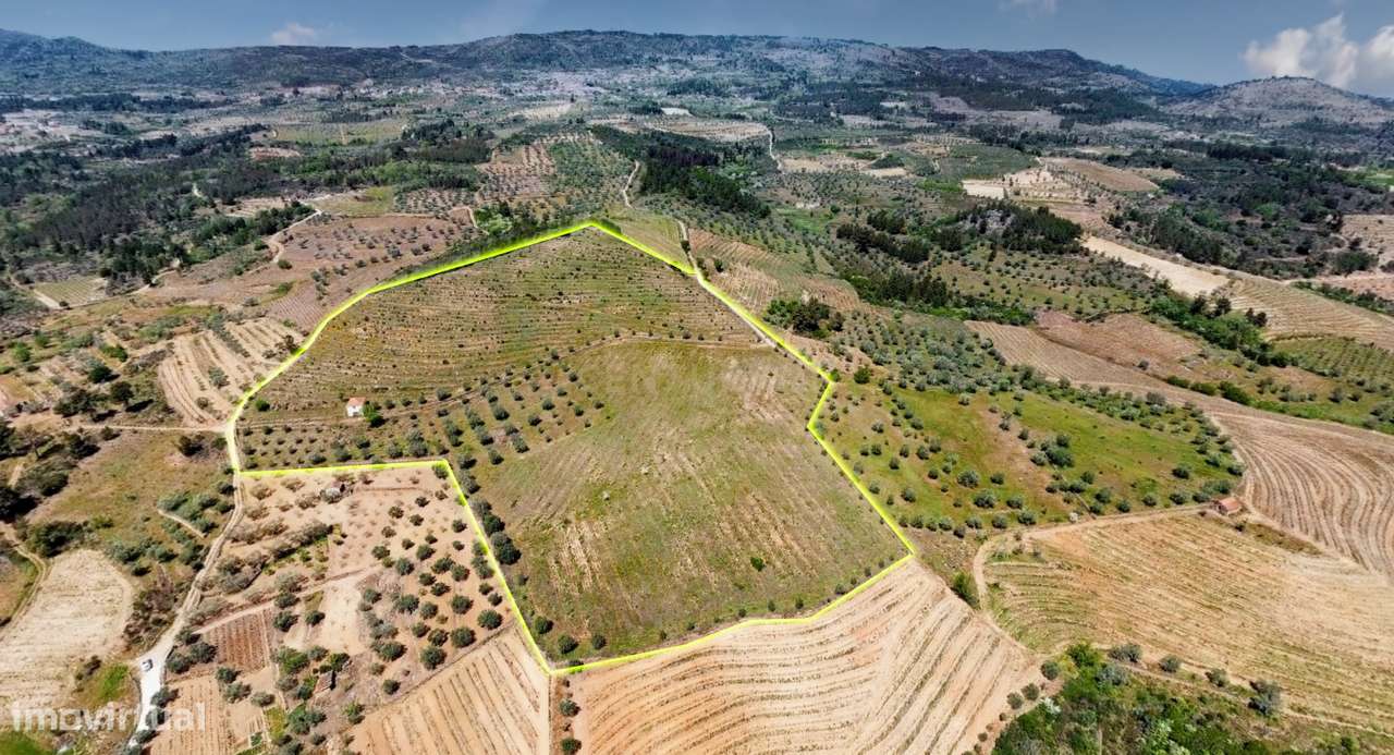 Terreno com 75230 m2 em Sendim - Tabuaço | Viseu - Grande imagem: 2/21