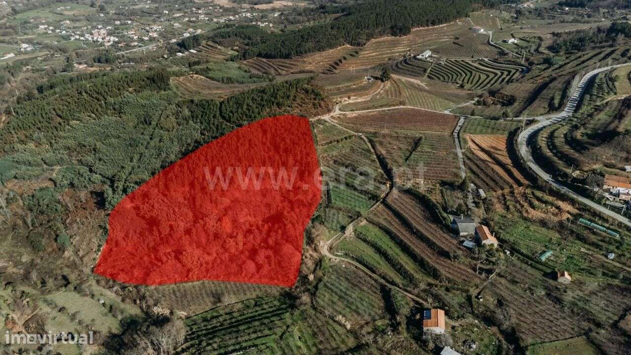 Terreno Rústico / Fundão, Alcaide - Grande imagem: 5/9