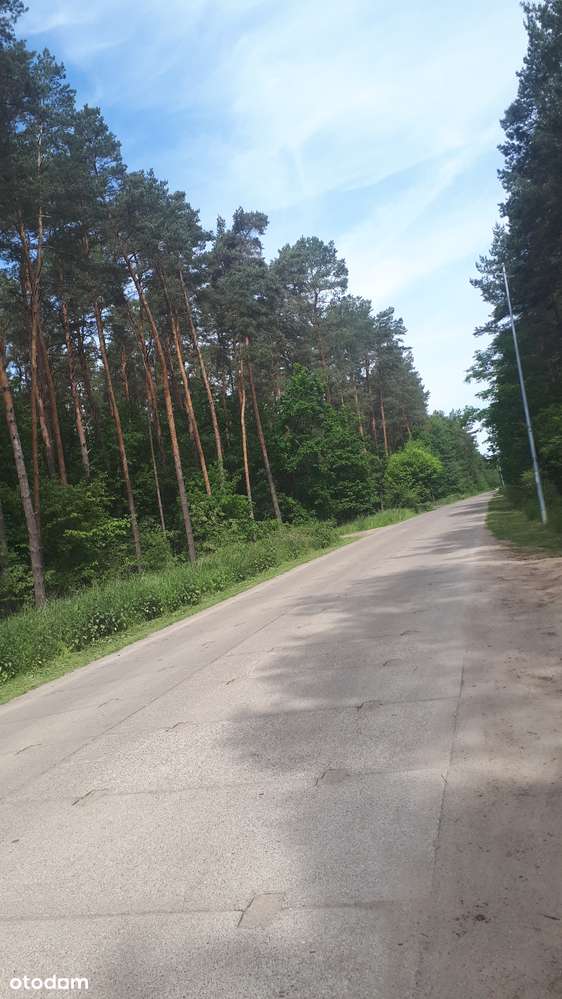 Z warunkami 4200m2 w Dobrej-0