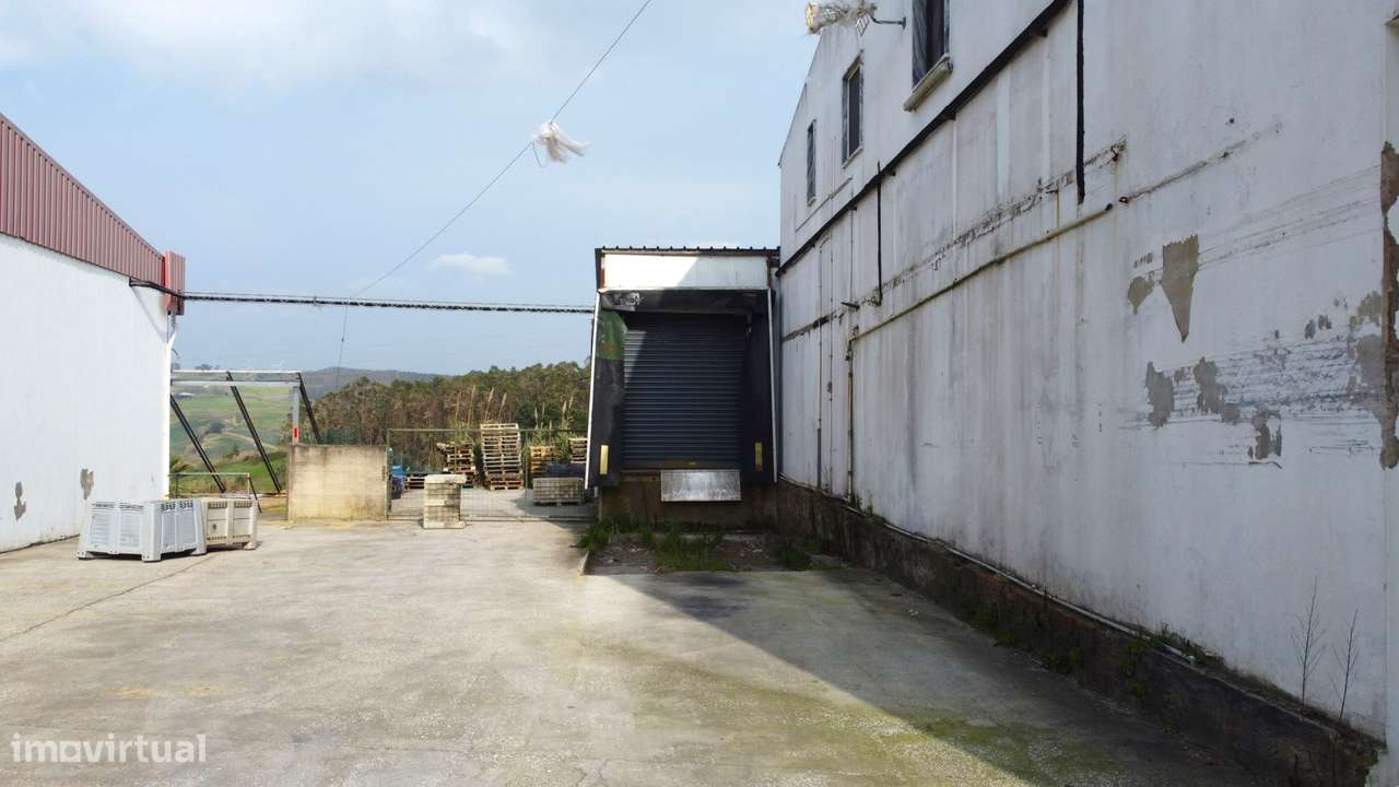 Armazém Industrial com Câmaras Frigoríficas – Lourinhã - Grande imagem: 4/21