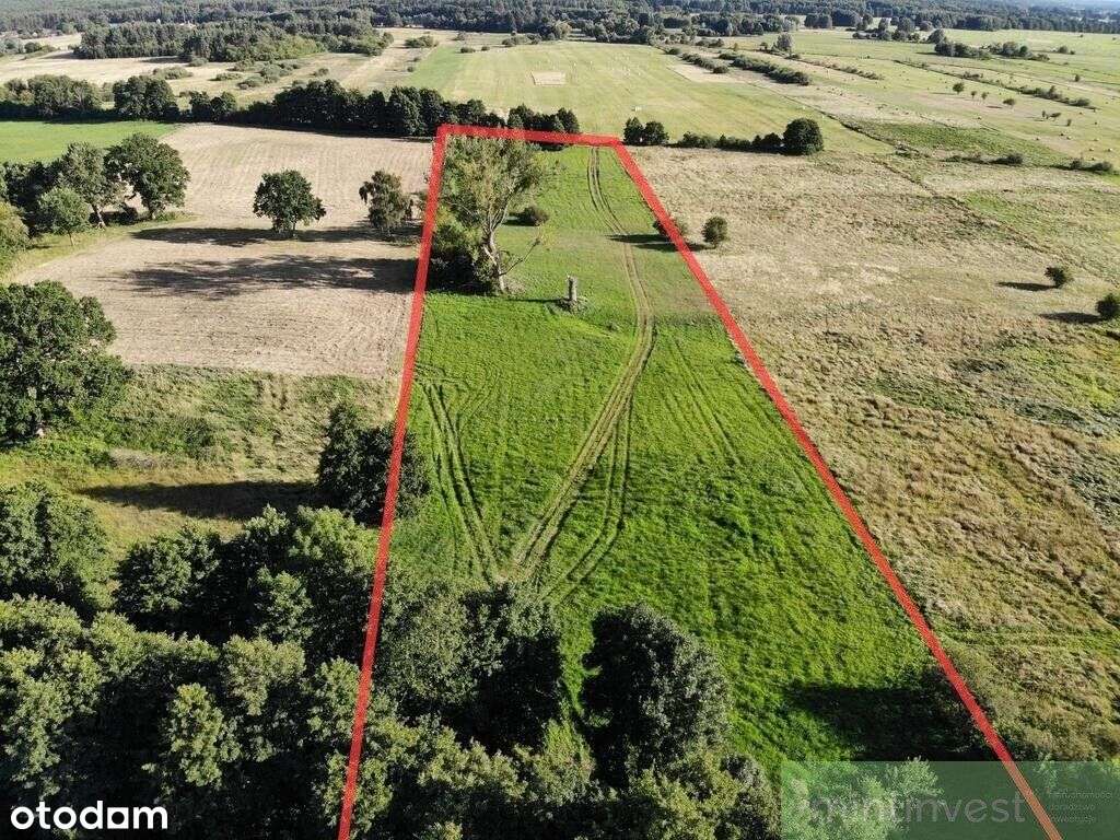 1,95 Ha W Żarnowie – Twoje Miejsce Blisko Natury-0