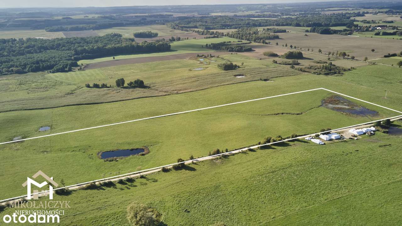 Działka rolna 9 ha / Rodnowo - Pełny obrazek: 5/6