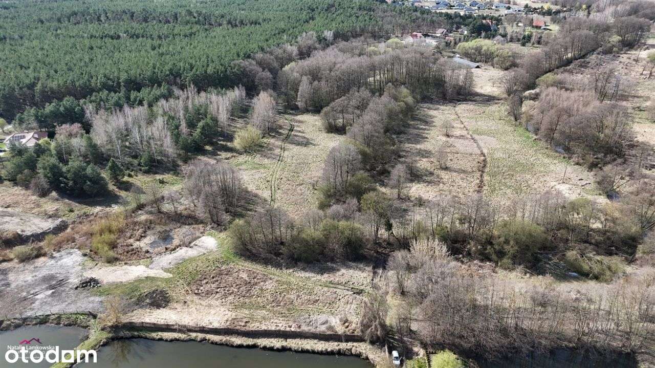 Działka, 1 183 m², Pieńki Królewskie - View 2