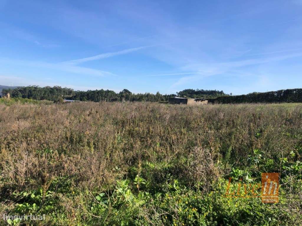 Terreno com 9050m2 em Pinhal de Frades na Ericeira - Grande imagem: 5/9