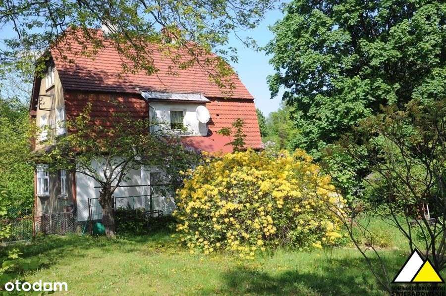 Dwa mieszkania-Cały dom-4