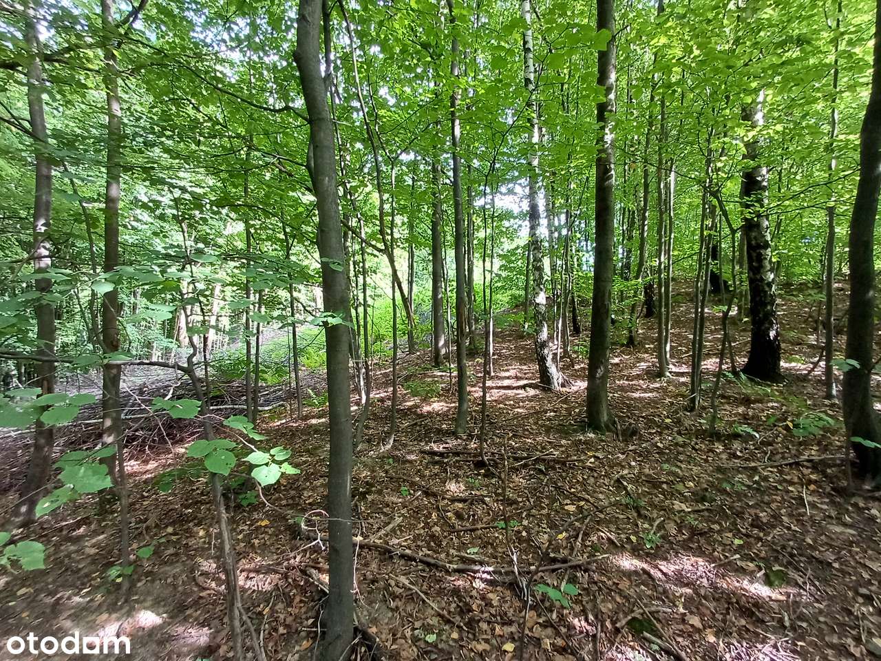 Działki na sprzedaż - Lanckorona ul. Krakowska-6