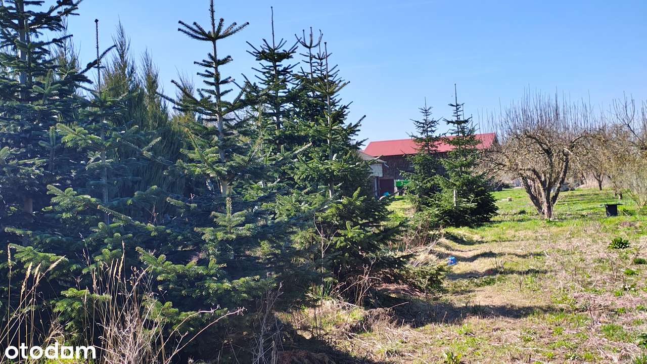 Dom, 96 m², Kłodzino-17