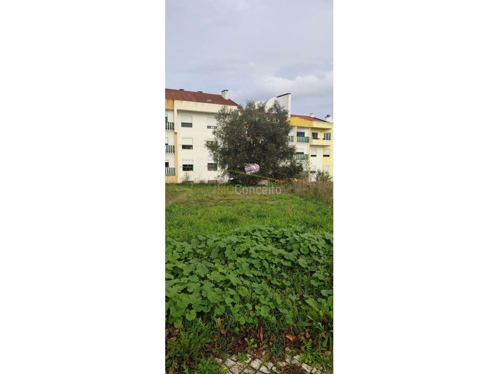 Lote para construção de moradia | Torres Novas - Grande imagem: 4/7