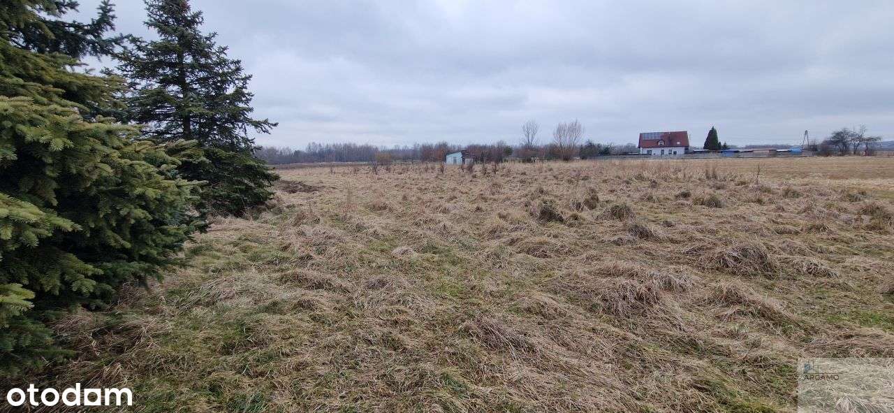 działka Rolna lub weekendowy Chill - Pełny obrazek: 5/8