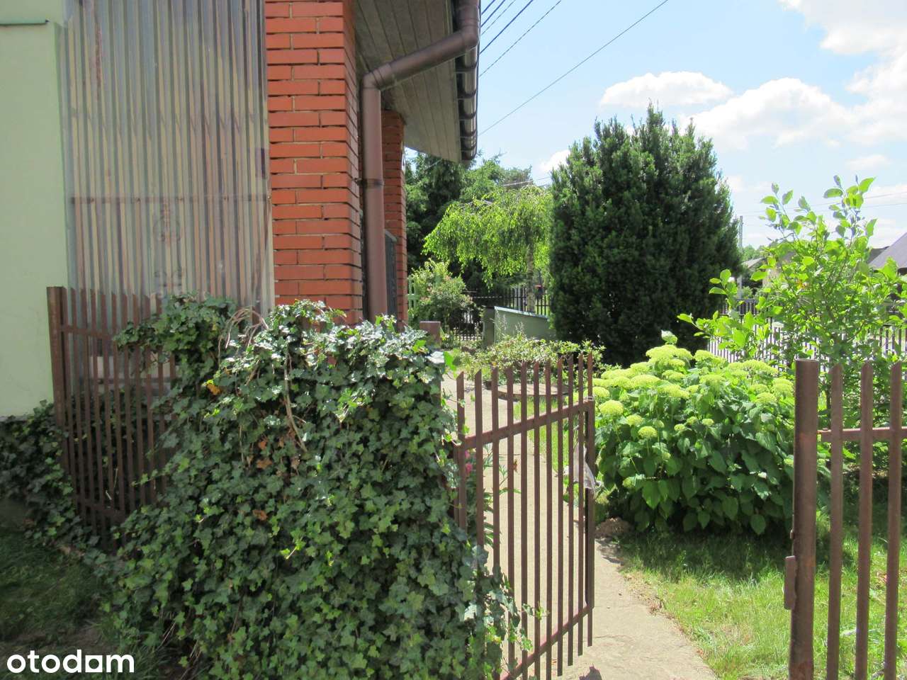 Sprzedam udział w: dom i działka-6