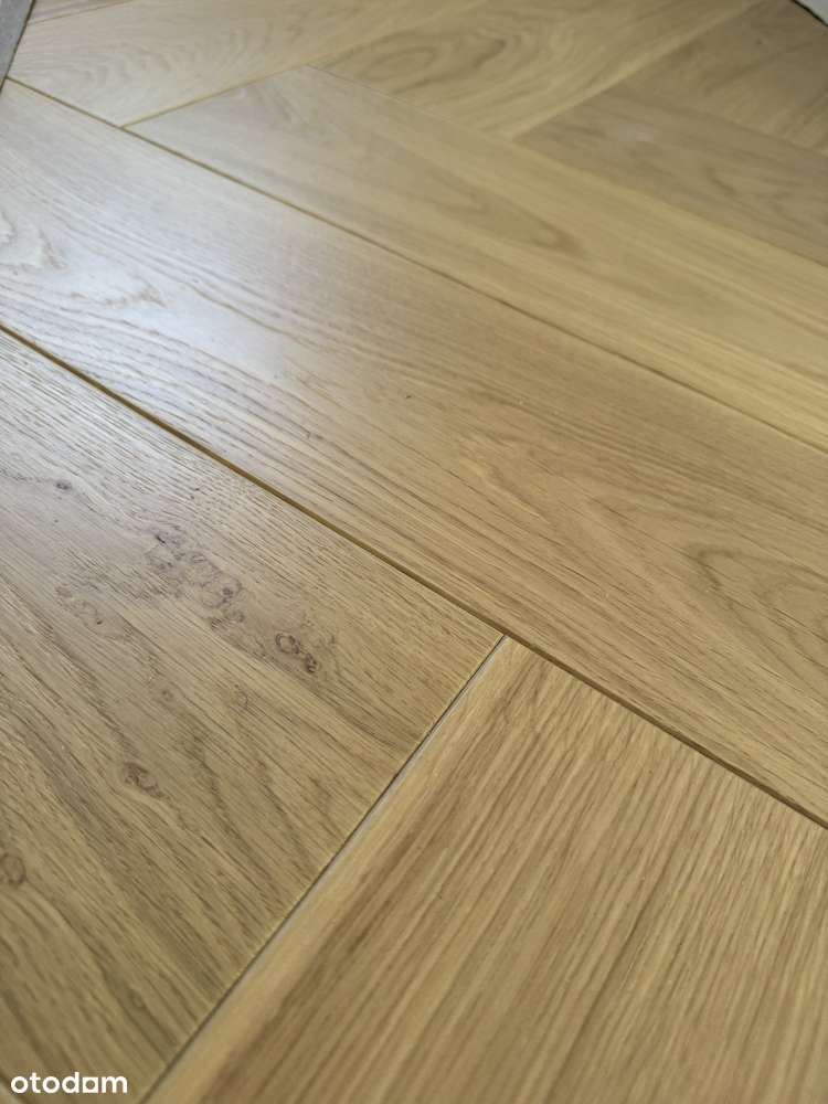 Apartament Gdynia Orłowo bezpośrednio - Pełny obrazek: 5/7