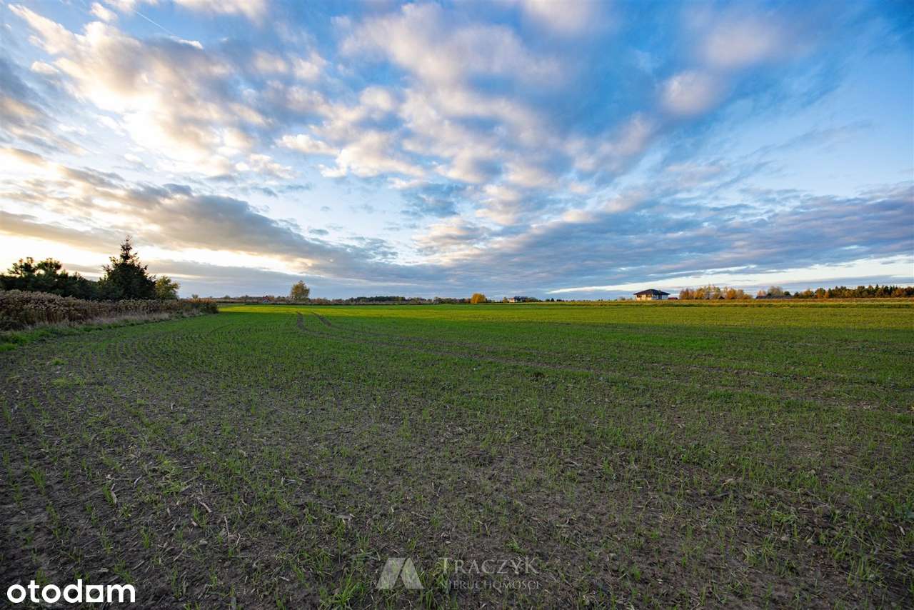 pod dom wolnotojący,prąd,woda,kanalizacja,las,łąk - Pełny obrazek: 5/10