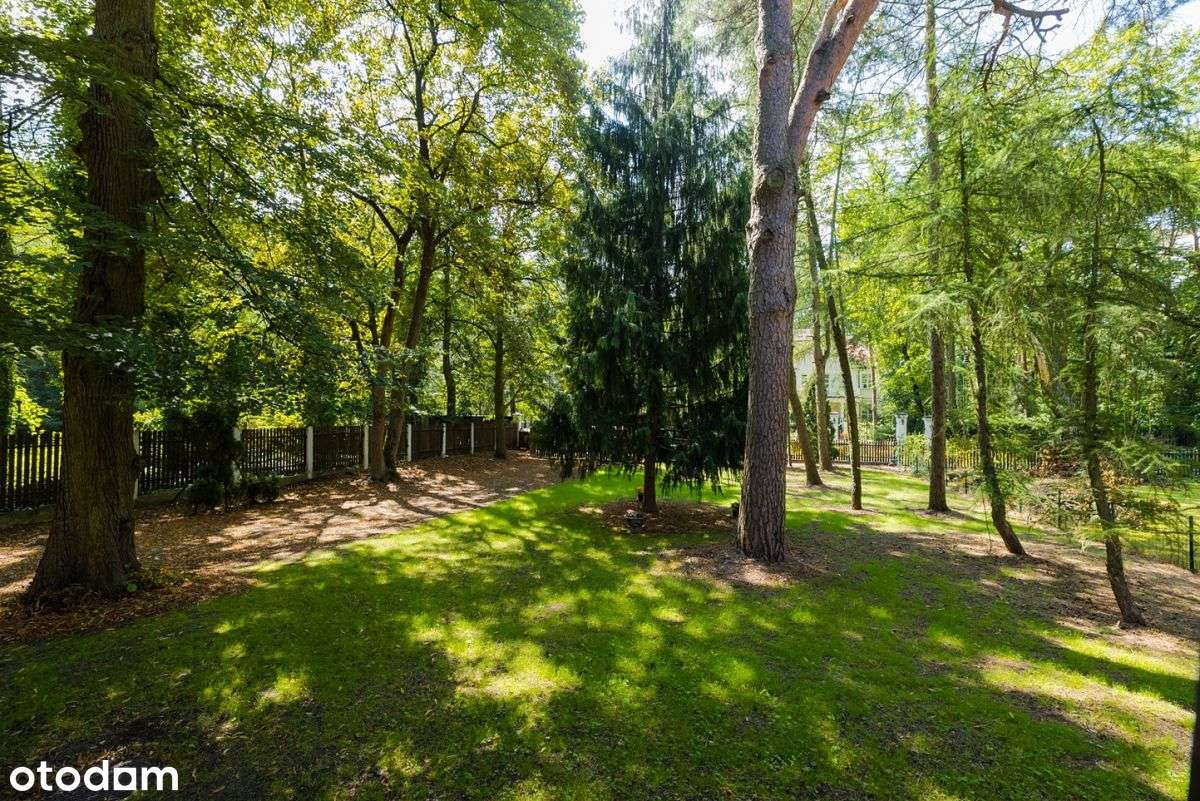 Historyczna "Willa Rusałka" przy Parku Zdrojowym-3