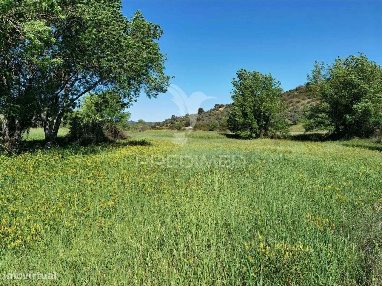 Terreno rústico, Arneiro das Milhariças - Grande imagem: 5/20