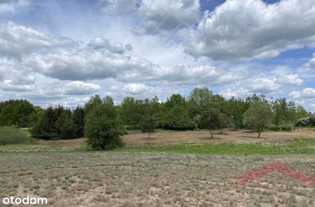 malownicza działka pod lasem Potrzanowo Skoki - Pełny obrazek: 4/4