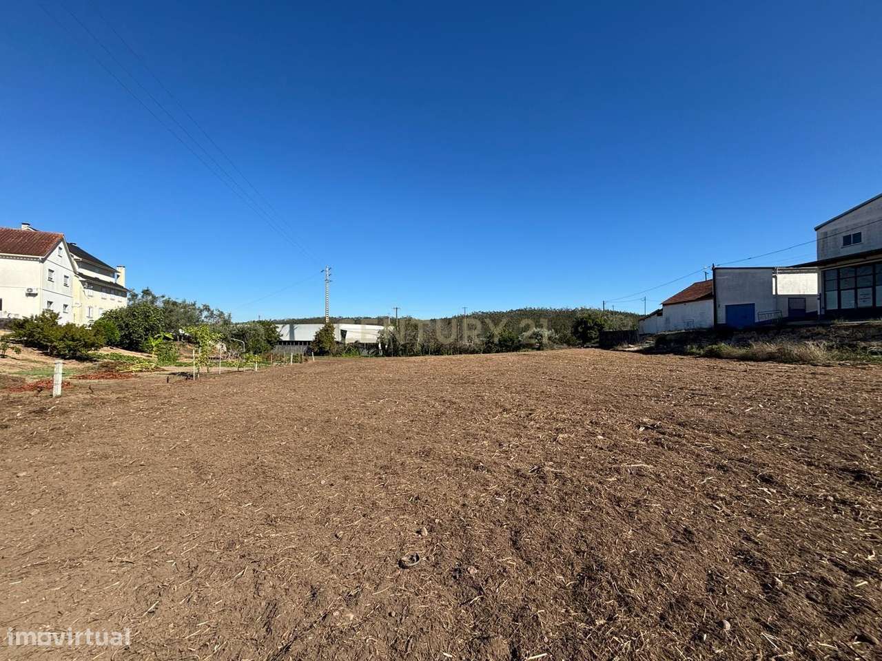Terreno rústico com viabilidade construtiva em Albergaria dos Doze, Po - Vista 4