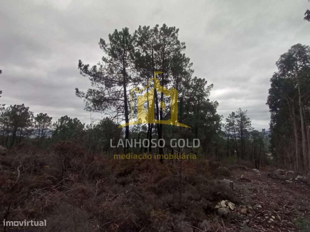 Terreno Florestal em Cunha, Paredes de Coura - 3.150 m² - Grande imagem: 5/9