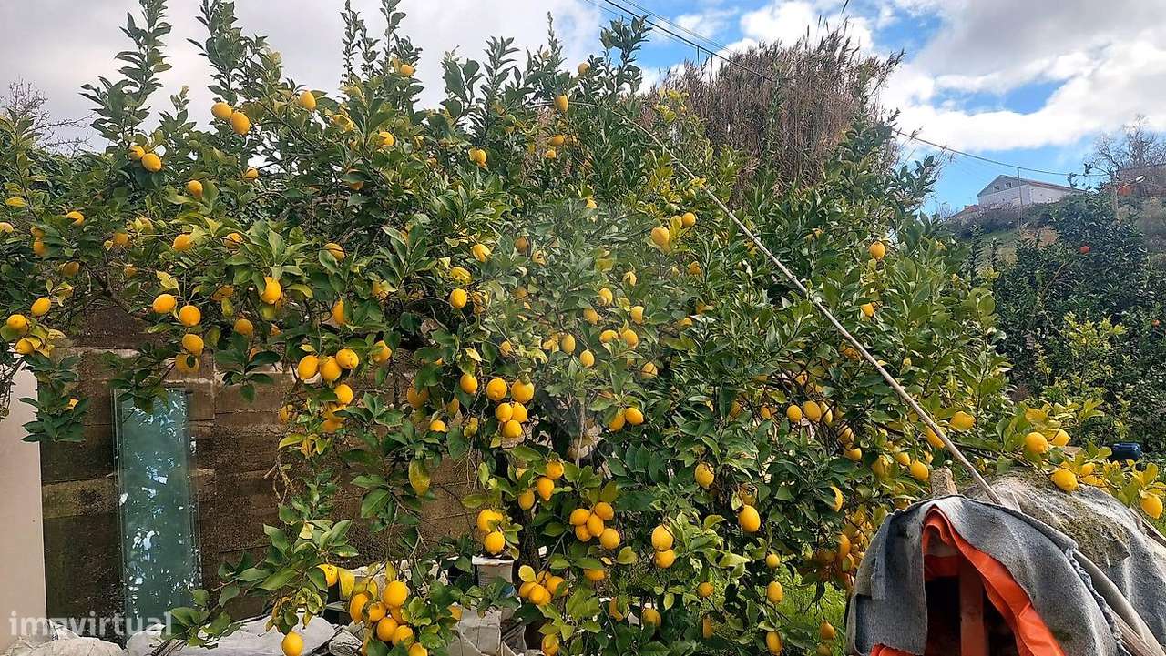 Terreno  para venda - Grande imagem: 4/43